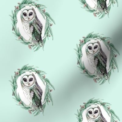Sooty Owl Minty