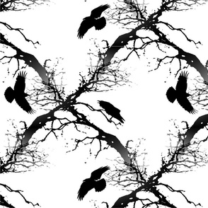 Crow Flock On Branches