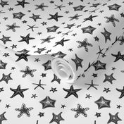 Starfish in Black & White