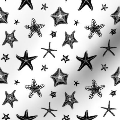 Starfish in Black & White