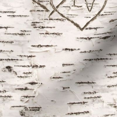 Love, Carved in Birch: Personalized