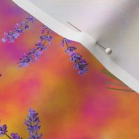 lavender currents spectrum