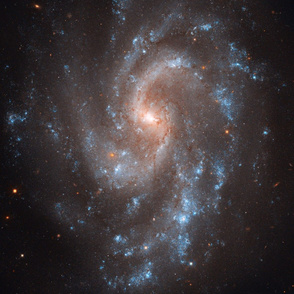 HD Hubble's View of NGC 5584 (2011-03-14)