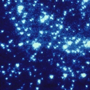 HD Blue Straggler Stars in the Core of a Globular Cluster