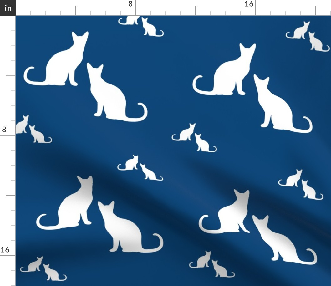 Cats white on blue