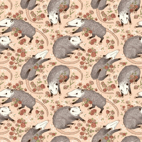 Opossums and roses!