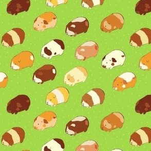 Guinea Pigs