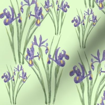 Irises on Green (version 2)