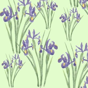Irises on Green (version 2)