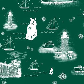 Beaver Island Shamrock Toile