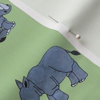 Rhinos