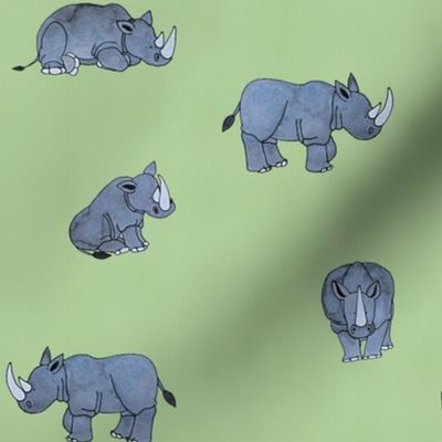 Rhinos