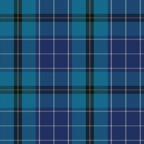 Highland Blues Tartan