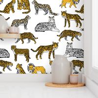 lion tigers // safari tiger lions zoo africa gold yellow mustard