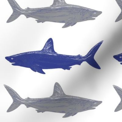 blue and gray sharks