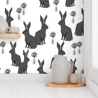 rabbit // rabbits charcoal grey rabbit sweet bunnies