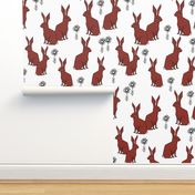 rabbit // rabbits fall autumn burgundy nature 