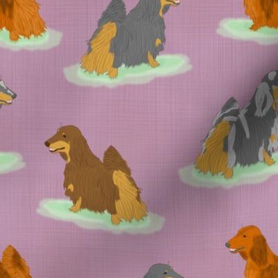 Standing Longhaired Dachshunds - purple linen