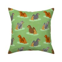 Standing Longhaired Dachshunds - green linen