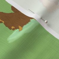 Standing Longhaired Dachshunds - green linen