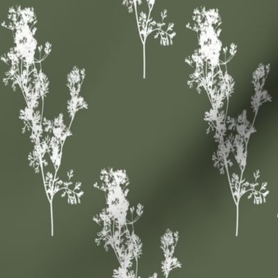 Silhouettes of Cilantro on Olive