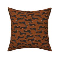 Dachshound on brown background