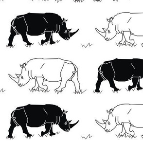 Black & White Rhinos