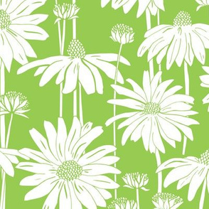 Sunshine Daisy Green