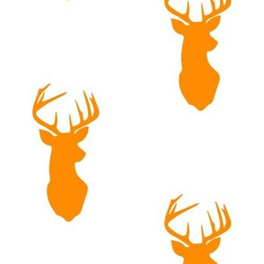 orange buck 