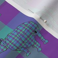 rhino_plaid2