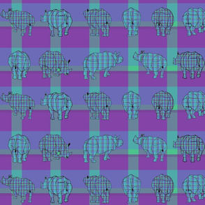 rhino_plaid2