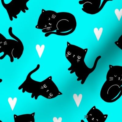 Black Cat-Teal Colorway