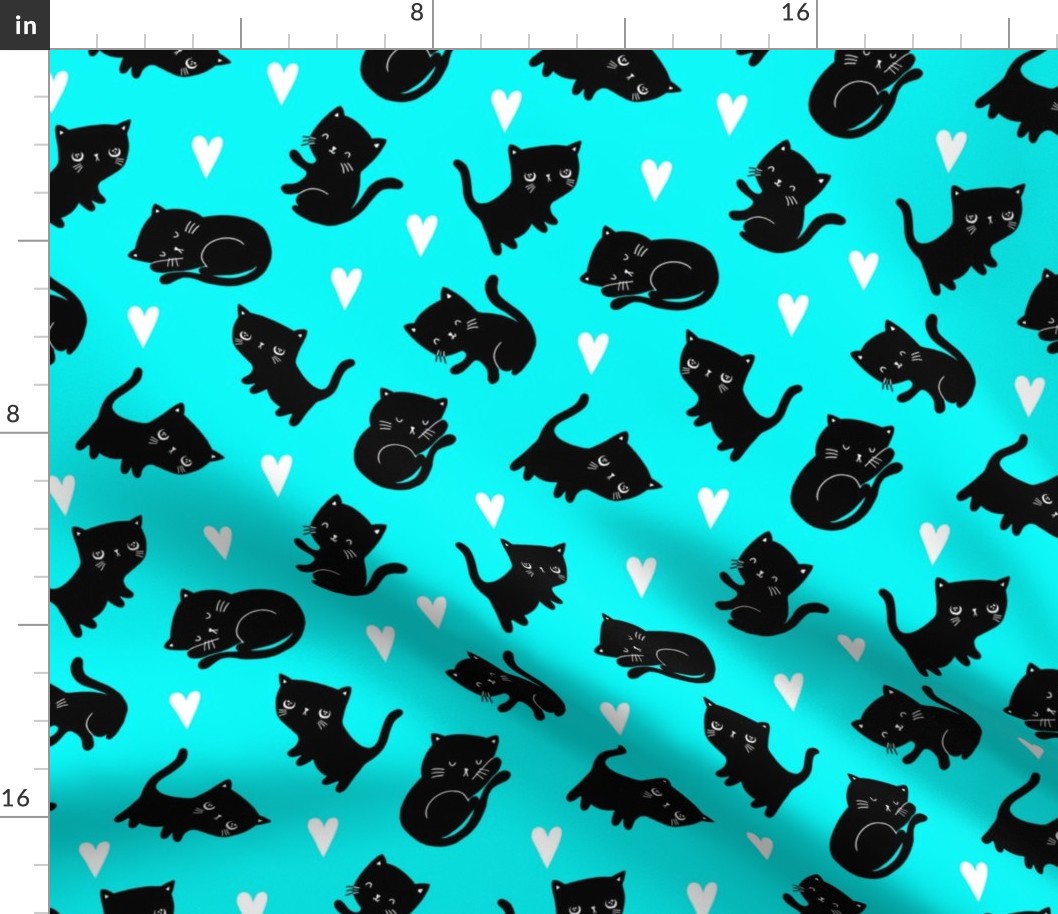 Black Cat-Teal Colorway