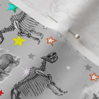 Museum Animals | Rhino Stars Grey