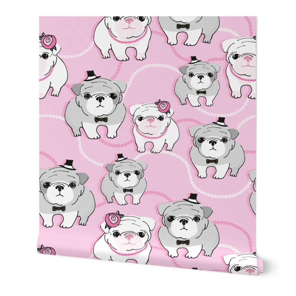 Bulldogs on pink background