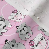Bulldogs on pink background