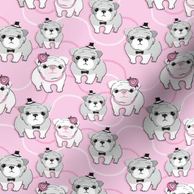 Bulldogs on pink background