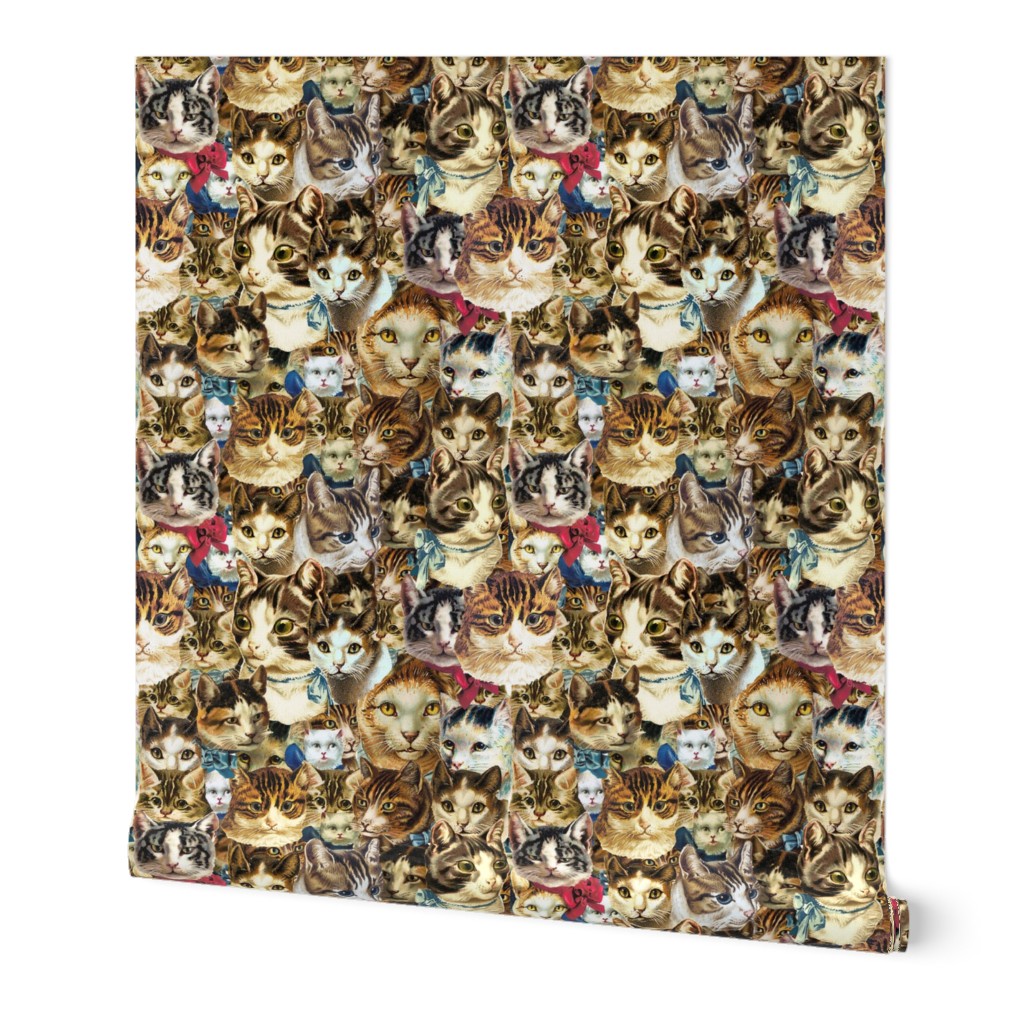 clowder of crazy cat heads fabric