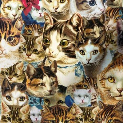 clowder of crazy cat heads fabric