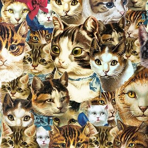 clowder of crazy cat heads fabric