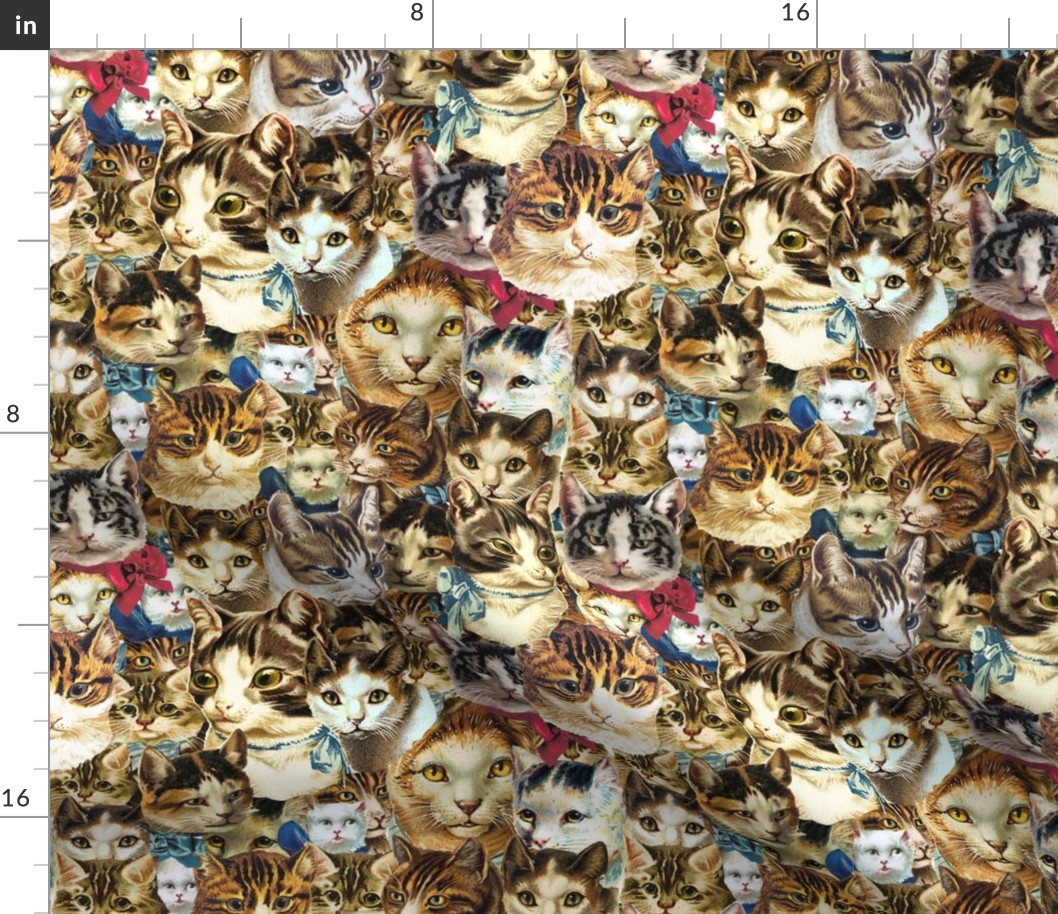 clowder of crazy cat heads fabric