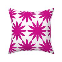 Starburst-Fuschia