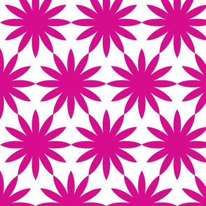 Starburst-Fuschia