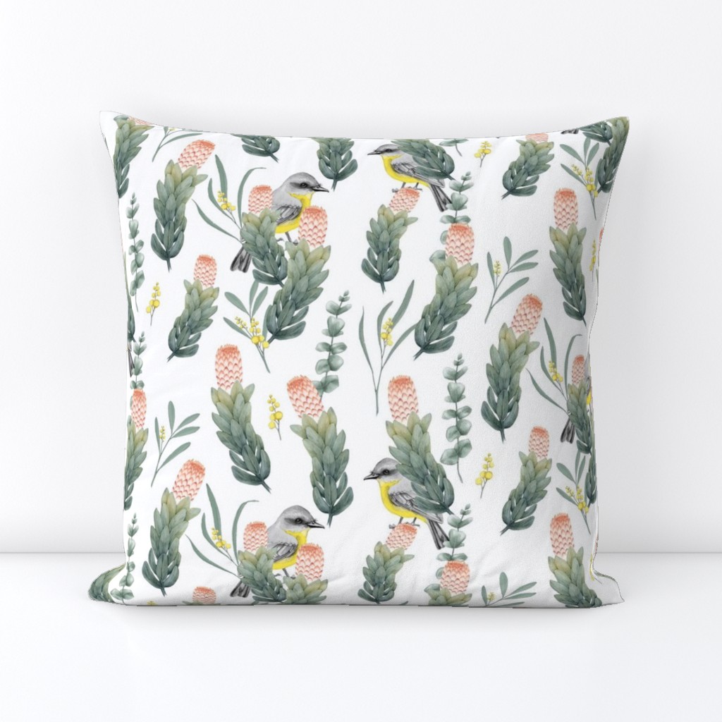 Australian Botanical Protea Wattle Robin on White // large