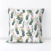 Australian Botanical Protea Wattle Robin on White // large