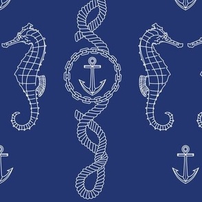 Rope_and_anchor