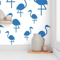 Flamingos in blue on white