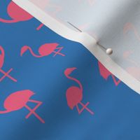 Flamingos in pink on blue