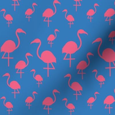 Flamingos in pink on blue