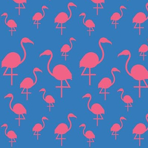 Flamingos in pink on blue